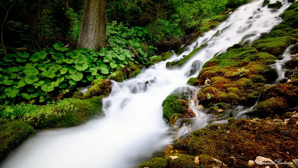 Tur la Cascada 7 Izvoare